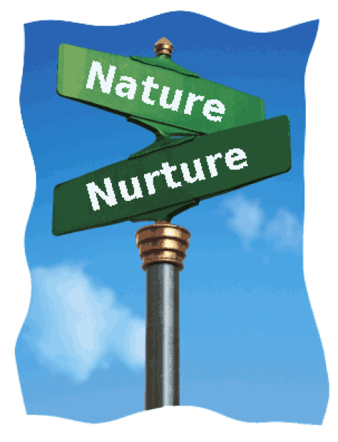 Utah Substance Abuse