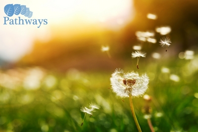 Nature - Tramadol Dependence Treatment in Utah - Pathways Real Life Recovery